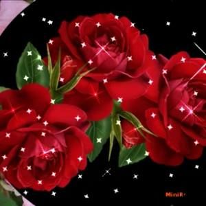 Meet your Posher, Helena